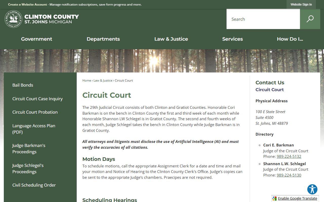 29th Circuit Court information page for Gratiot County criminal court records